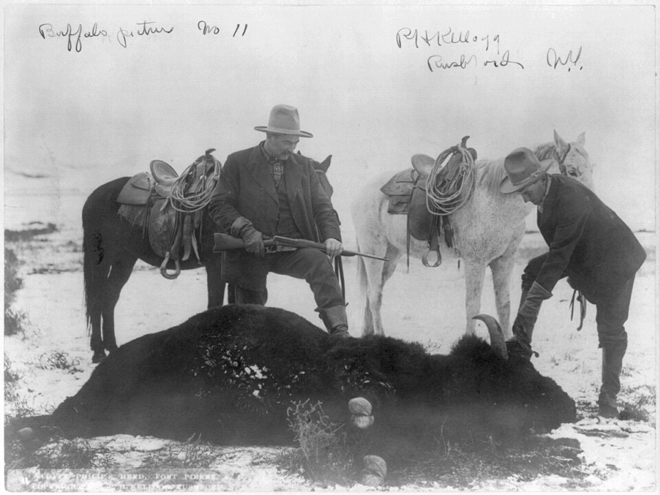 Hunters standing over dead buffalo, Scotty Philip's herd, Fort Pierre, South Dakota